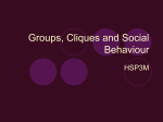 Groups, Cliques and Social Behaviour - Hale