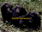 Social Behavior - Options