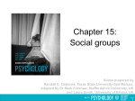 Chapter 15: Social groups PowerPoint