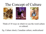concept of culture