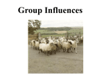 Special Topics # 1: Group Influences