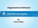Organizational Behavior By