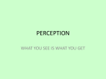 perception - room303ipc