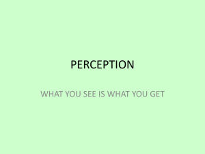 perception - room303ipc