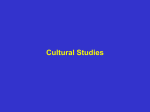 CHAPTER 20 Cultural Studies