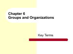 Chapter 5 Groups and Organizations