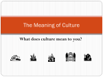 The Meaning of Culture - Introduction to Human Behavior