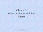 Values, Attitudes and their Effects