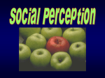 023_W2004_SocialPerception