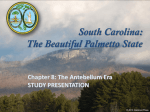 South Carolina: The Beautiful Palmetto State
