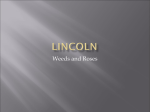 Lincoln Weeds and Roses