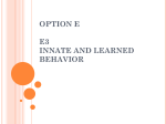 Option E3 student