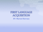 FIRST LANGUAGE ACQUISITION chapter 2