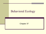Animal Behavior - CCRI Faculty Web