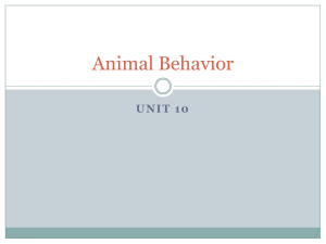 Animal Behavior