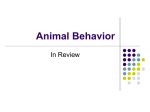 Animal Behavior - Woodstown-Pilesgrove Regional School