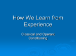 How We Learn from Experience