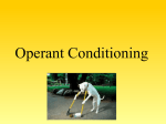 Operant Conditioning PP