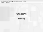 Chapter 6 Learning