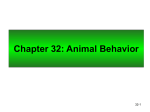 Chapter 32: Animal Behavior - Johnston Community College