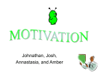 Motivation_-_SPR_06