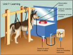 Classical Conditioning