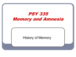 BHS 499-07 Memory and Amnesia