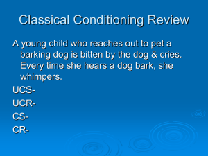 Classical Conditioning Review