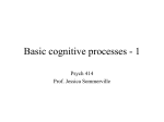 Basic cognitive processes