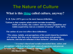 The Nature of Culture