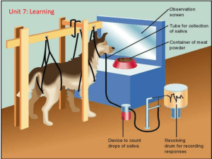 Classical Conditioning