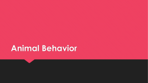 Animal Behavior - MuchinCollegePrep