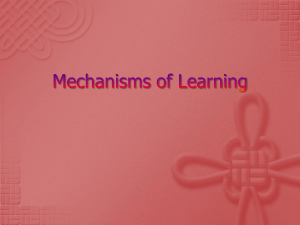 Mechanisms of Learning