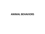 ANIMAL BEHAVIORS