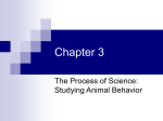 Chapter 3 - Studying Animal Behavior