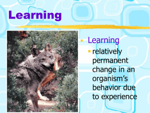 Cognition and Operant Conditioning
