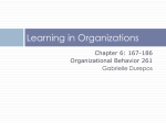 Macro Organizational Behavior 2384