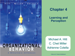 Strategic Organizational Behavior