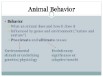 Animal Behavior Notes - Twanow