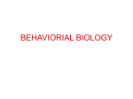 What is behavior? - BronxPrepAPBiology