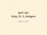 BIOT 307 Kuby, Ch. 3, Antigens