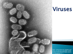 Viruses