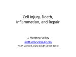 Pathology01-CellDeath-Inflammation-Repair