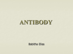 ANTIBODY