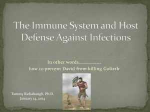 Innate Immune system