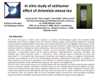 In vitro study of antitumor effect of Artemisia annua tea