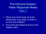 The Immune System: Video Response Notes Part 1