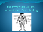AMS_PowerPoint_The_Lymphatic_System_and_Immunity