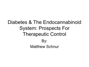 Diabetes & The Endocannabinoid System: Prospects For