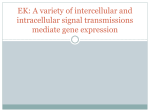 EK: A variety of intercellular and intracellular signal